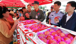 사과 정말 좋습니다