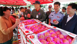 <카메라뉴스> 추석 선물은 지역 농산물로