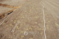 진주서 대규모 선사ㆍ고대 경작유구 발굴