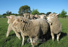 <Weekly Travel> 호주 멜버른으로 떠나는 풍경 여행