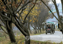 <Weekly Travel> 그리움으로 연마한 보석 같은 땅, 임실