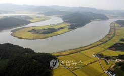 황금빛으로 빛나는 영산강