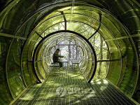 도로로 끊긴 양재천~대모산 생태육교로 연결