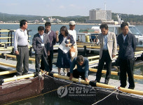 잘 크고 있나..