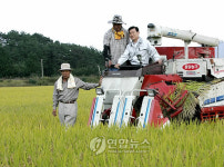 <카메라뉴스> 고성 생명환경쌀 수확
