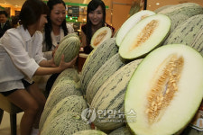 땡큐푸르트(Fruit) | 이색 과일 '딩야' 맛 보세요