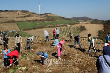 훼손된 백두대간에 나무 심는 시민들