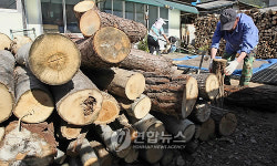 월동준비 분주한 농촌마을