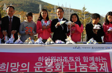 희망과 사랑, 평화 전해요