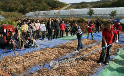 도리깨질 신기해요