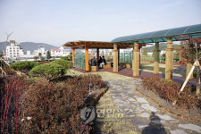 <카메라뉴스> 정원으로 변신한 밀양시청 옥상