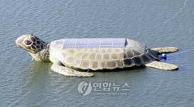 가평 호명호수에 거북 모양 태양광 발전시설