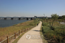 가을 정취 만끽 한강변 산책로 10選