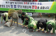 민주, 충북.안산 `바람몰이 시도