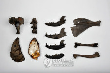 함안 성산산성 발굴