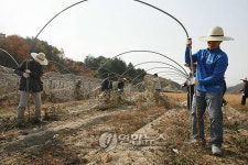 청와대 대통령실 농촌일손 돕기