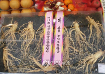 증평인삼 전국 최고 확인