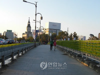 대구시 호밀로 겨울 도심풍경 `푸르게