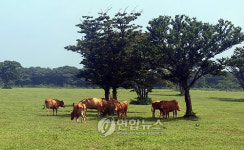 한라산 중턱에 회원제 체험목장 등장