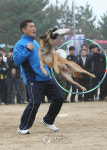 탐지견 경진대회에서 프레스비 시범