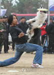 탐지견 경진대회에서 프레스비 시범