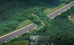 구로구 천왕산에 동물 이동 길 만든다