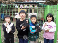 괴산 송면초교 학생들에 토끼 분양