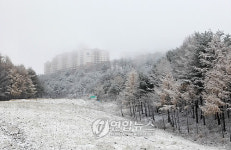 눈 내린 태백 오투리조트