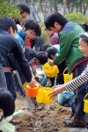 명촌초등학교 학교 숲 가꾸기