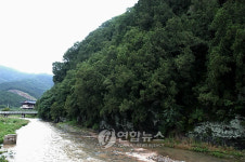 녹색연합 대구 측백나무숲, 화재에 무방비 노출