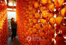 강릉 곶감, 맛있어요
