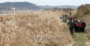 남한강 녹색물길을 걷다