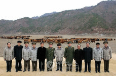 김정일, 군부대 산하 목장 현지지도