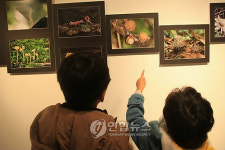 제주의 허파 곶자왈