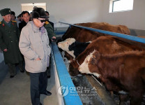 김정일 국방위원장 소목장 현지지도