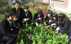 우리학교 텃밭이예요