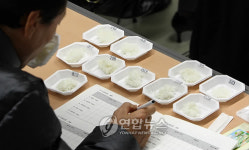 최고의 밥맛을 찾아라