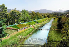 강남 세곡천 `제2 양재천으로 거듭난다