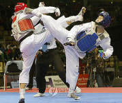 경주시 2011 세계태권도선수권대회 유치(종합)