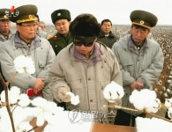 北김정일, 군부대 산하 농장.목장 현지지도