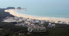 청정바다로 돌아온 만리포해수욕장