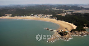 청정바다로 돌아온 만리포해수욕장