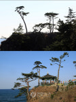 사라진(?) 낙산사 의상대