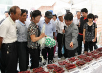 고추의 모든 것 임실고추연구소로 오세요