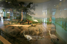 서천군 조류생태전시관 개관
