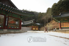 <Weekly Travel> 새하얀 눈으로 쓴 겨울동화, 평창