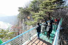 동강 상공 105ｍ에 유리다리 놓였다