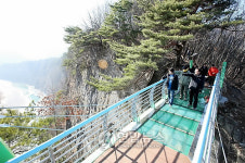 동강 상공 105ｍ에 유리다리 놓였다