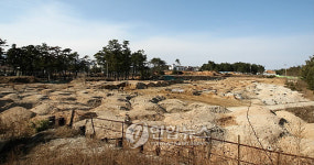 새해 첫날 강릉 경포 주차난 예고