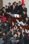 새해 몸싸움